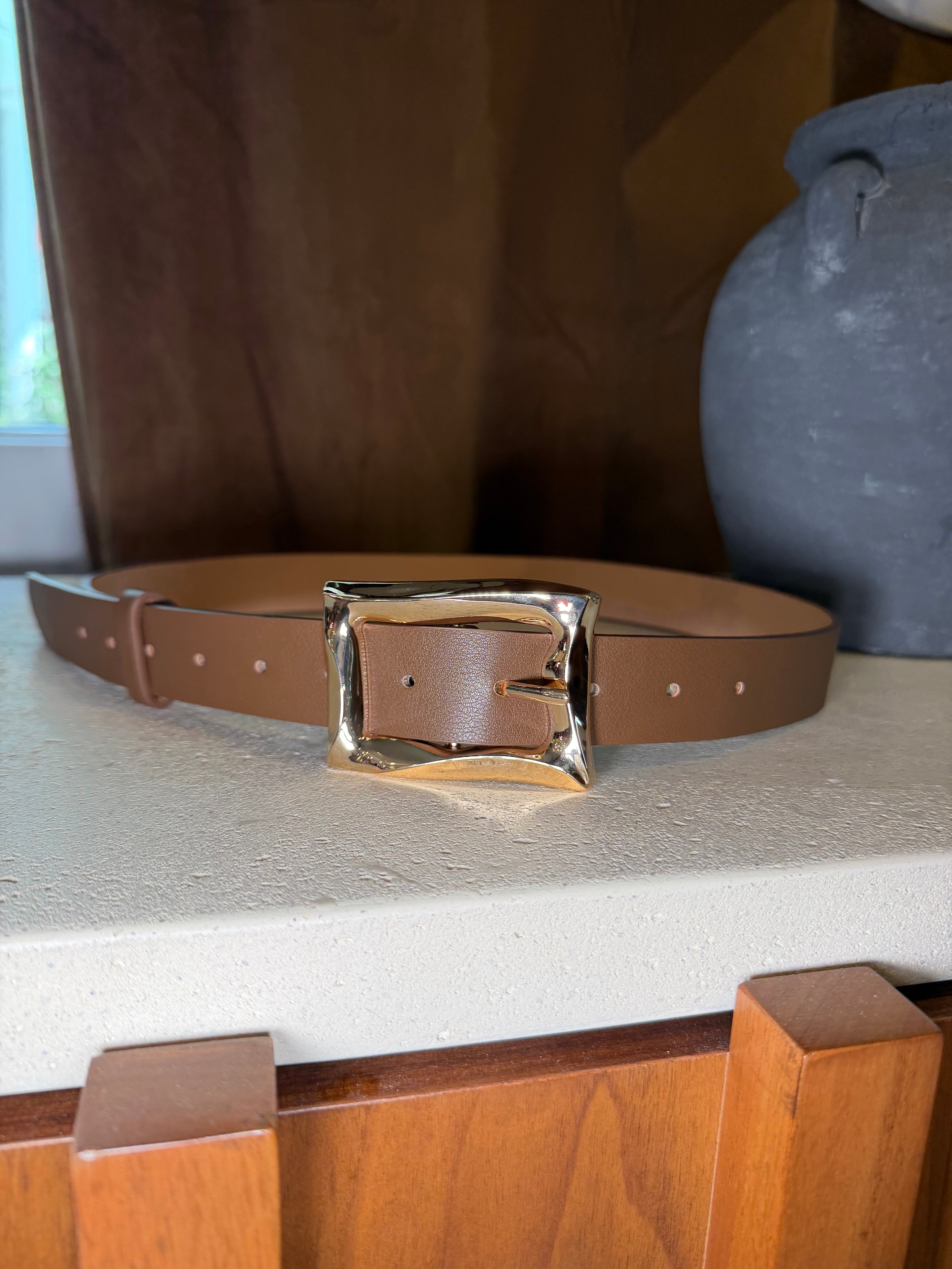 Chic Brown and Gold Belt Buckle