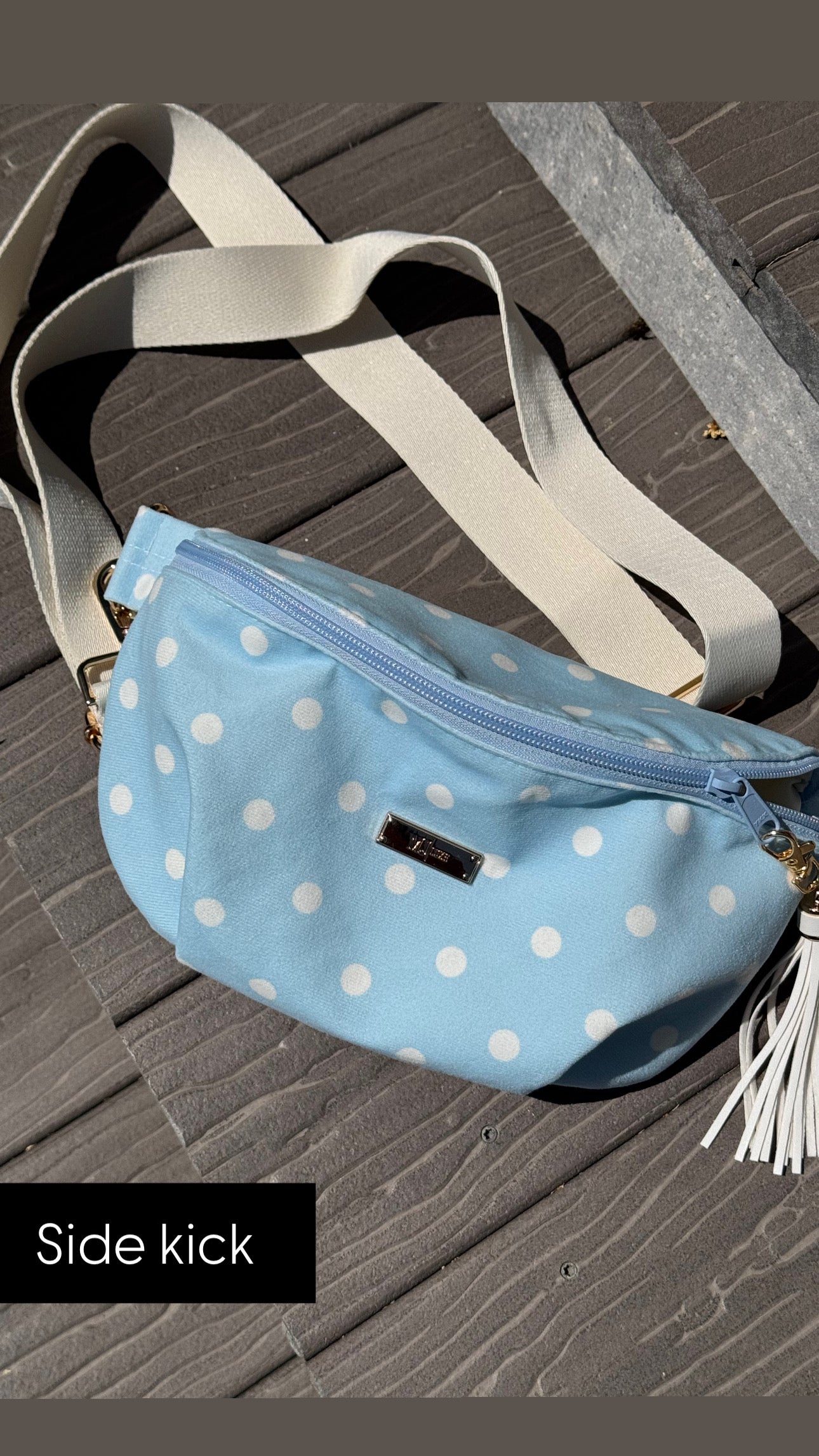 Jeaneane's Custom Make Up Junkie Bag Polka Dots