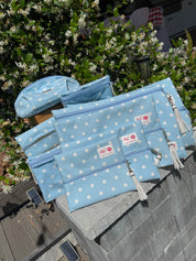 Jeaneane's Custom Make Up Junkie Bag Polka Dots