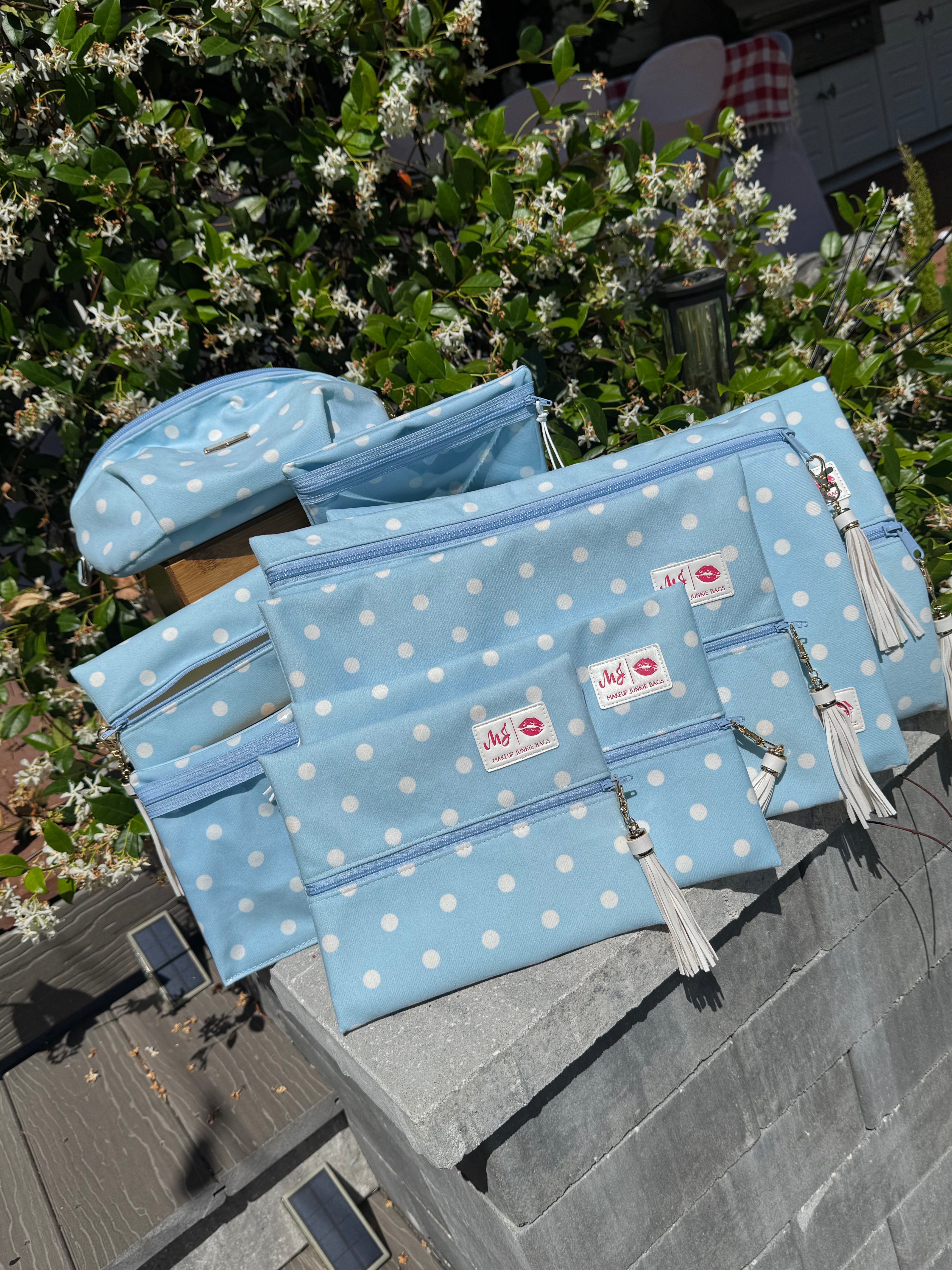 Jeaneane's Custom Make Up Junkie Bag Polka Dots