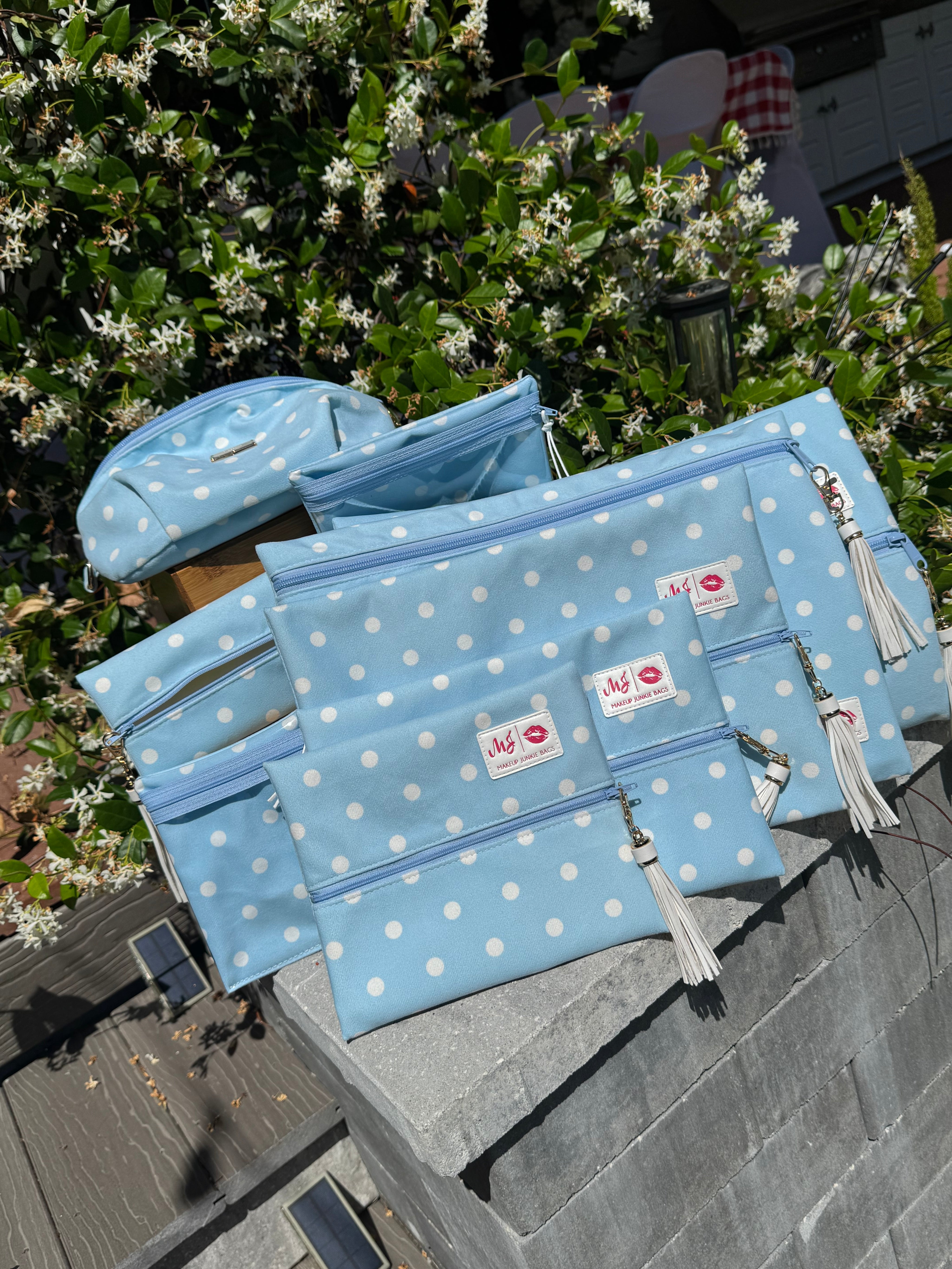 Jeaneane's Custom Make Up Junkie Bag Polka Dots