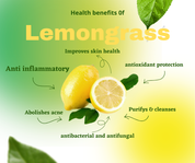 TRAVEL SIZE DTW Exclusive Beef Tallow Castor Oil Firming Cream Travel Size  *Final Sale*