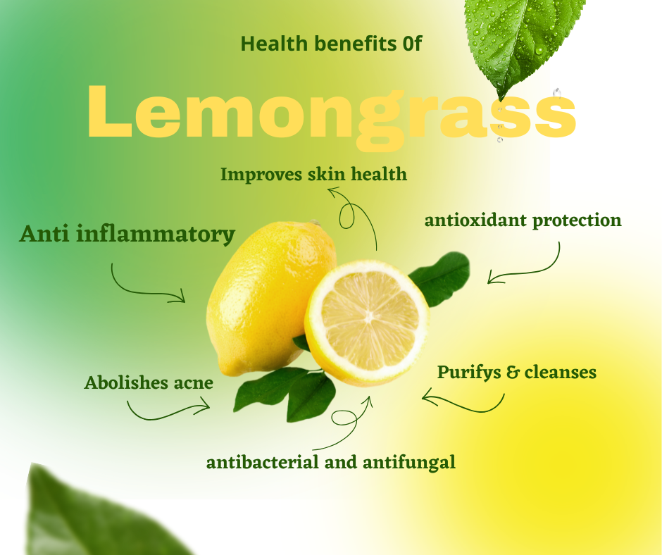 TRAVEL SIZE DTW Exclusive Beef Tallow Castor Oil Firming Cream Travel Size  *Final Sale*