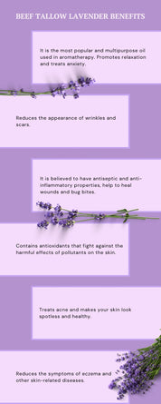 TRAVEL SIZE DTW Exclusive Beef Tallow Castor Oil Firming Cream Travel Size  *Final Sale*