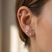 ✨The Ollie Earring Set✨