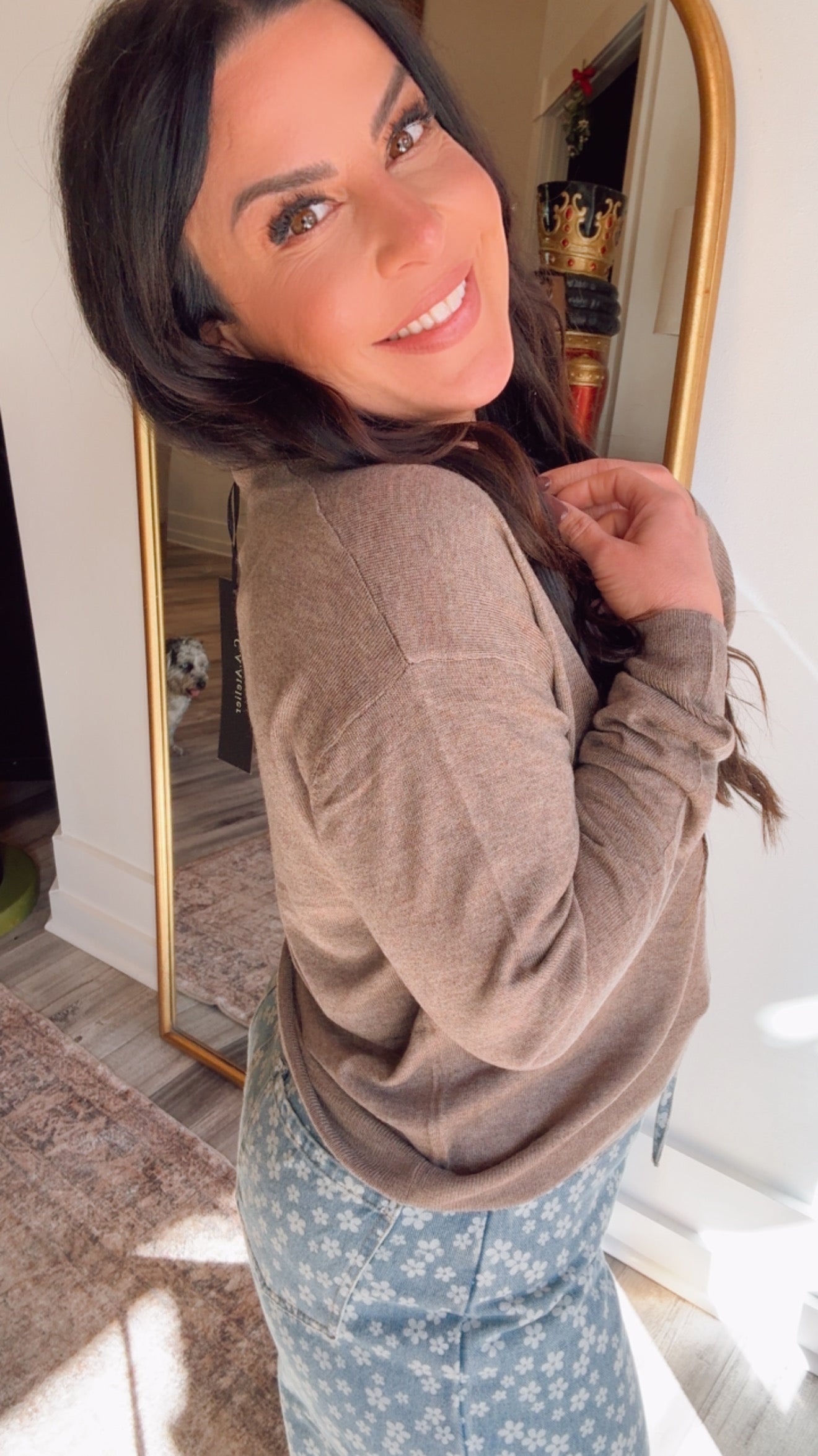 Mocha Lightweight V-neck Long Sleeve Plush Sweater