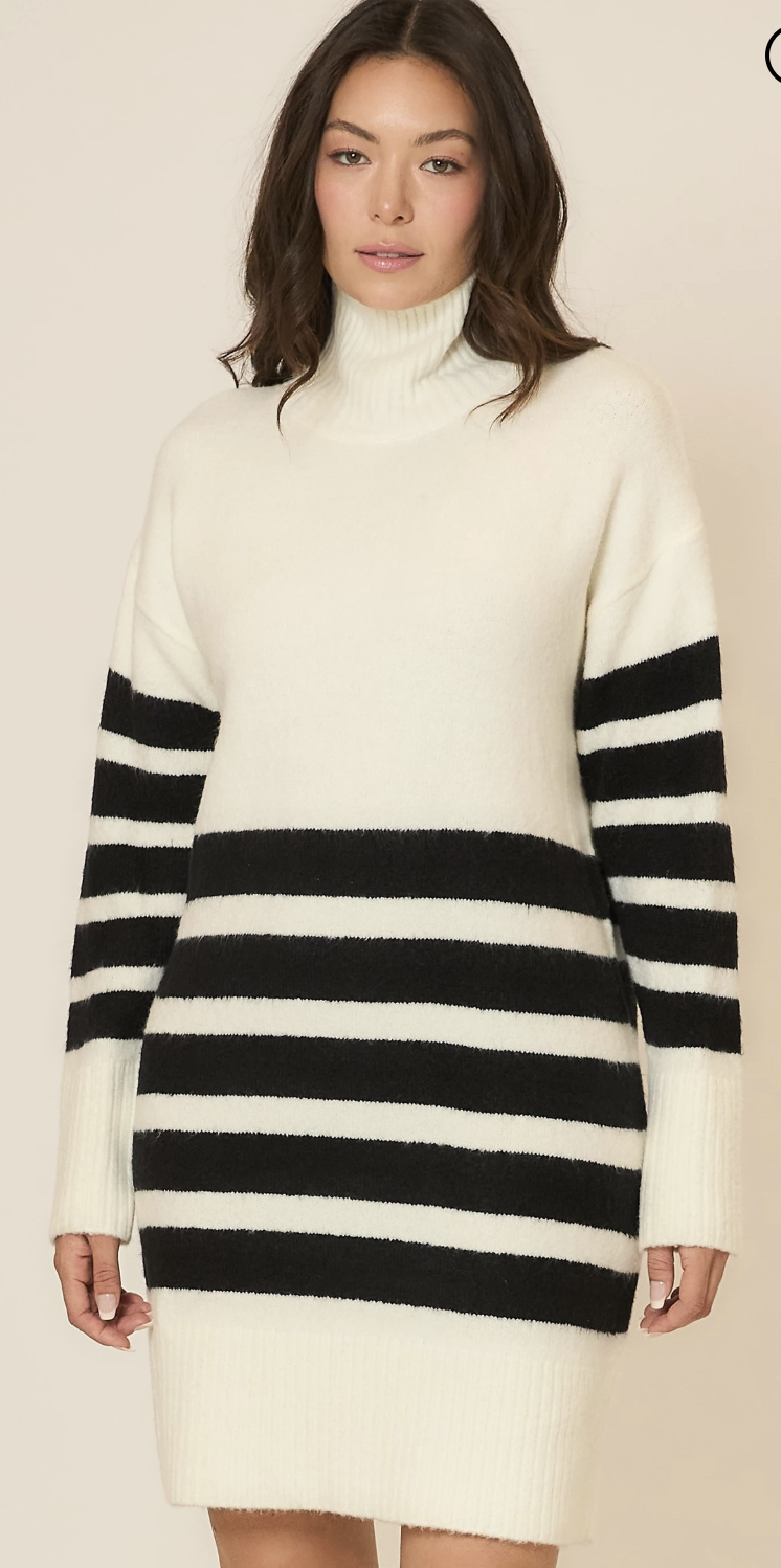 Cozy Co Striped White and Black Turtle Neck Sweater Dress