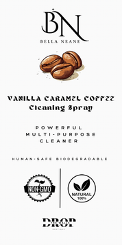 DTW BN Exclusive Clean All Purpose Spray Cleaner *Final Sale*