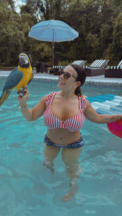 DTW Exclusive Red and White Stripe Bikini Top