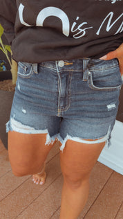 Dark Wash Distressed Denim Shorts