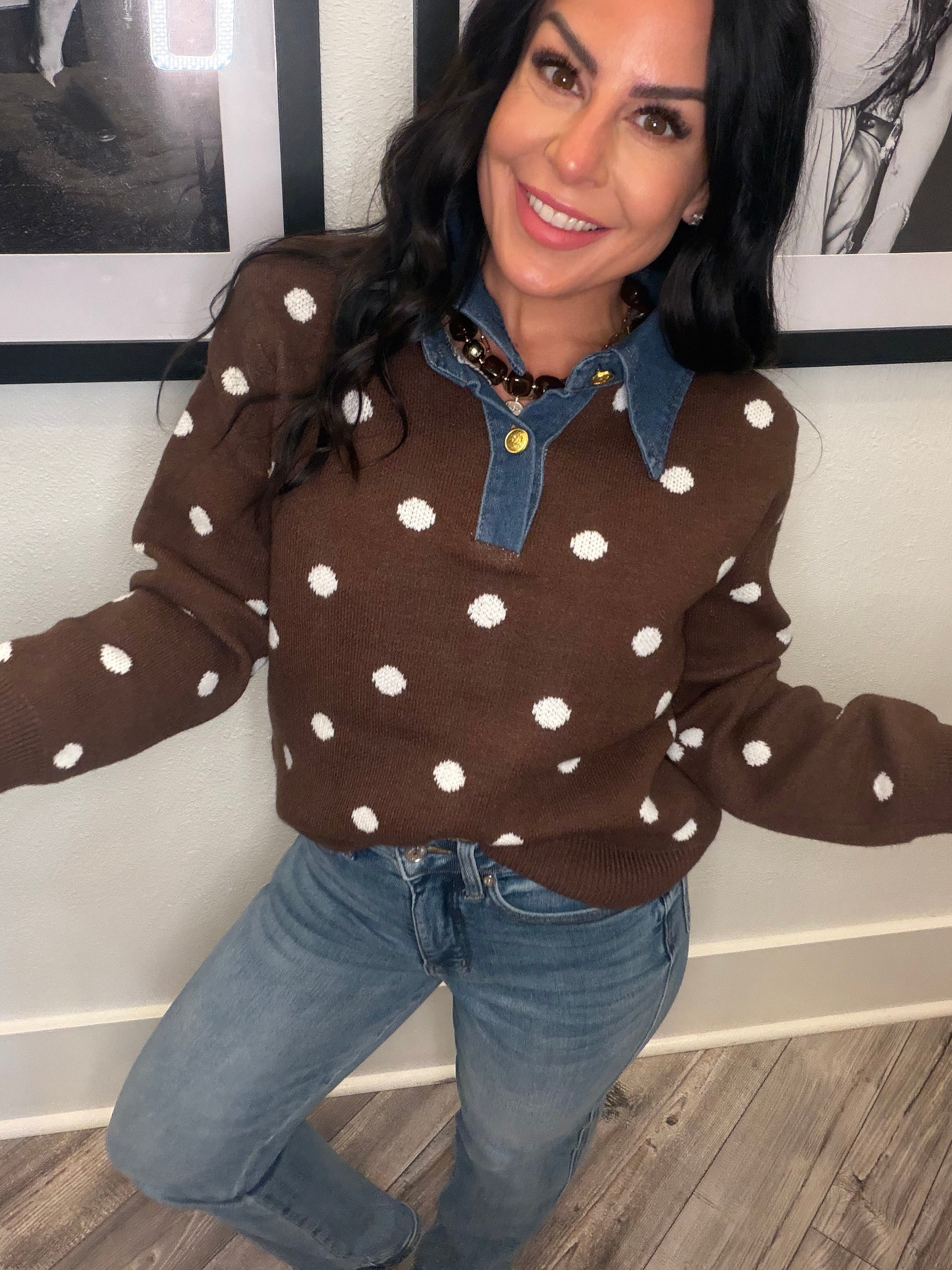 Brown and White Denim Collar Polka Dot Sweater