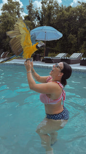 DTW Exclusive Red and White Stripe Bikini Top