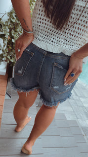 Dark High Rise Rhinestone Detail Risen Shorts