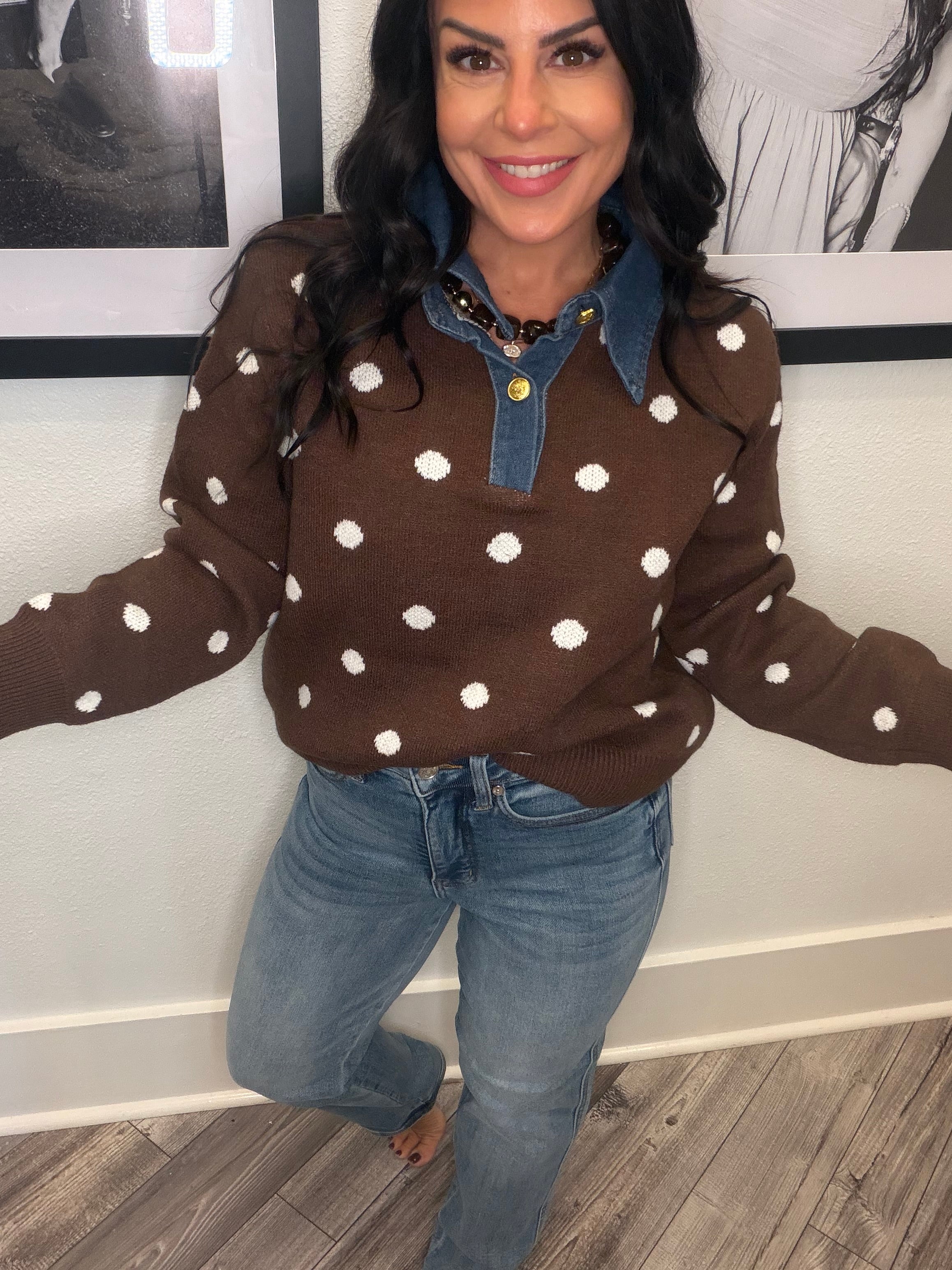 Brown and White Denim Collar Polka Dot Sweater