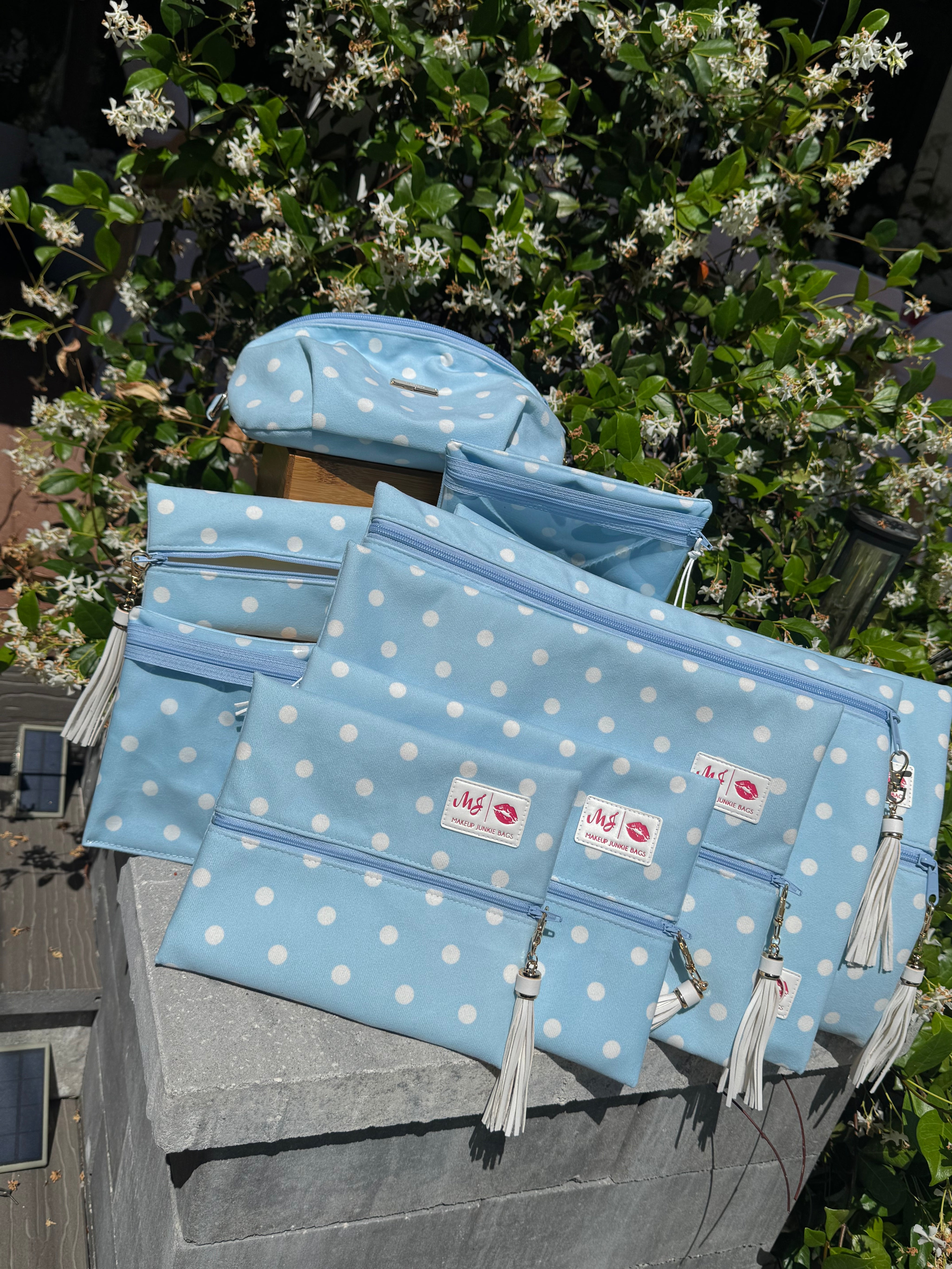 Jeaneane's Custom Make Up Junkie Bag Polka Dots