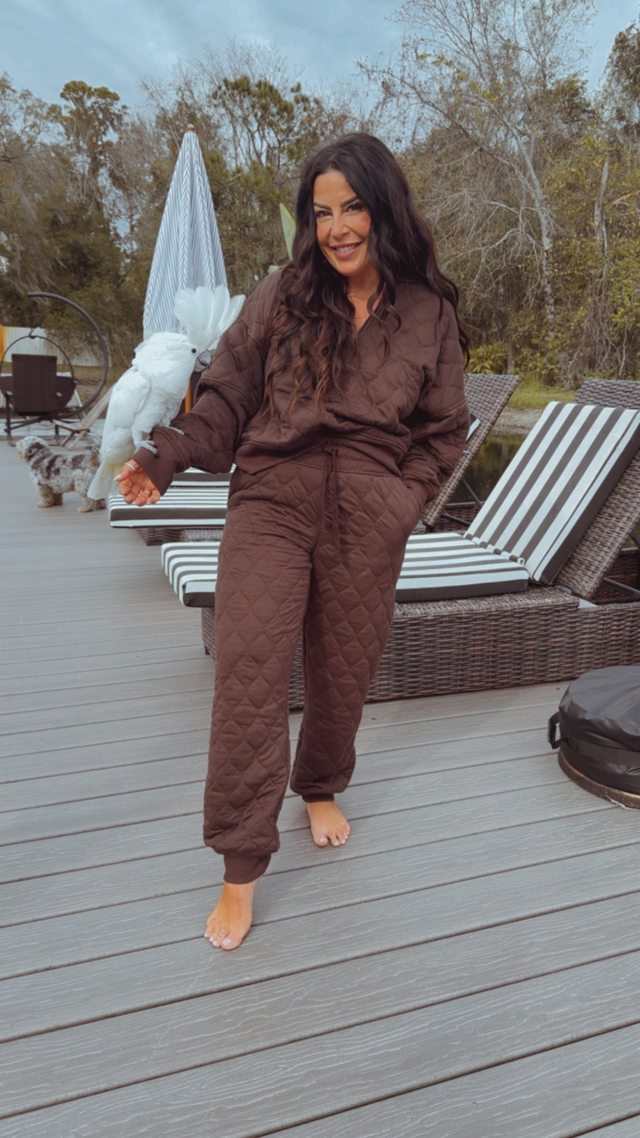 Brown Quilted Espresso Joggers