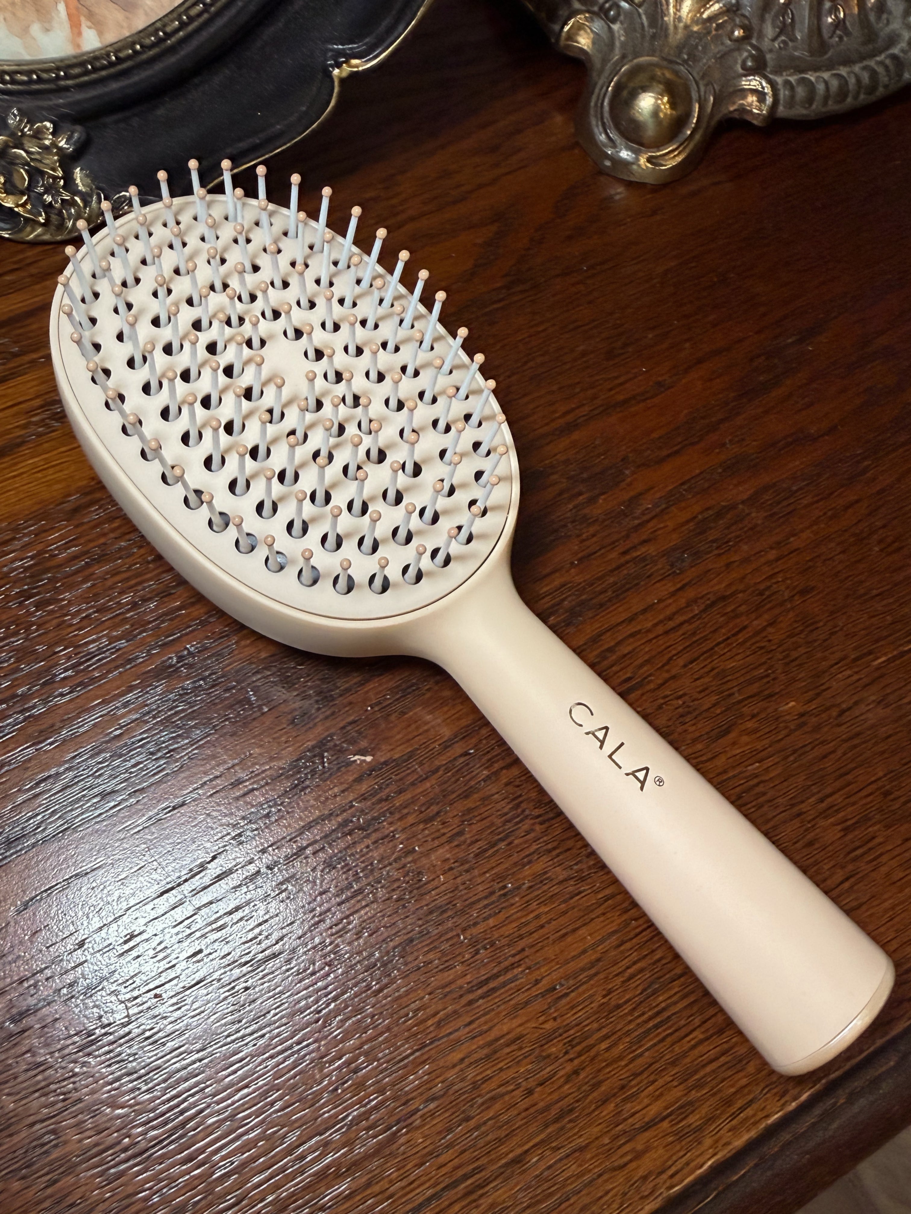 Tan Self Cleaning Hairbush