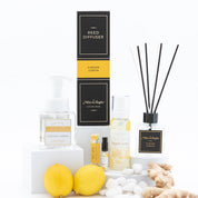 Mixologie Ginger Lemon