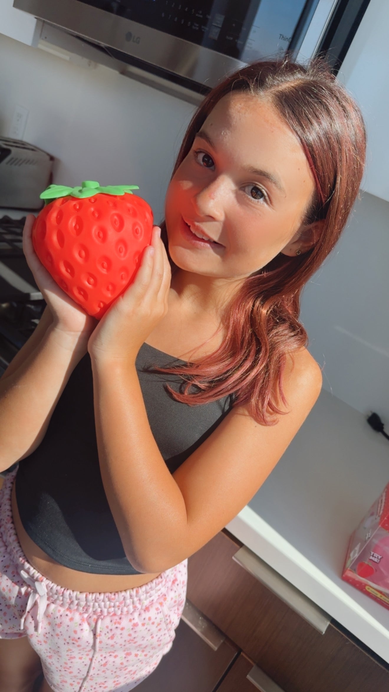 Giant Strawberry Squishy Toy