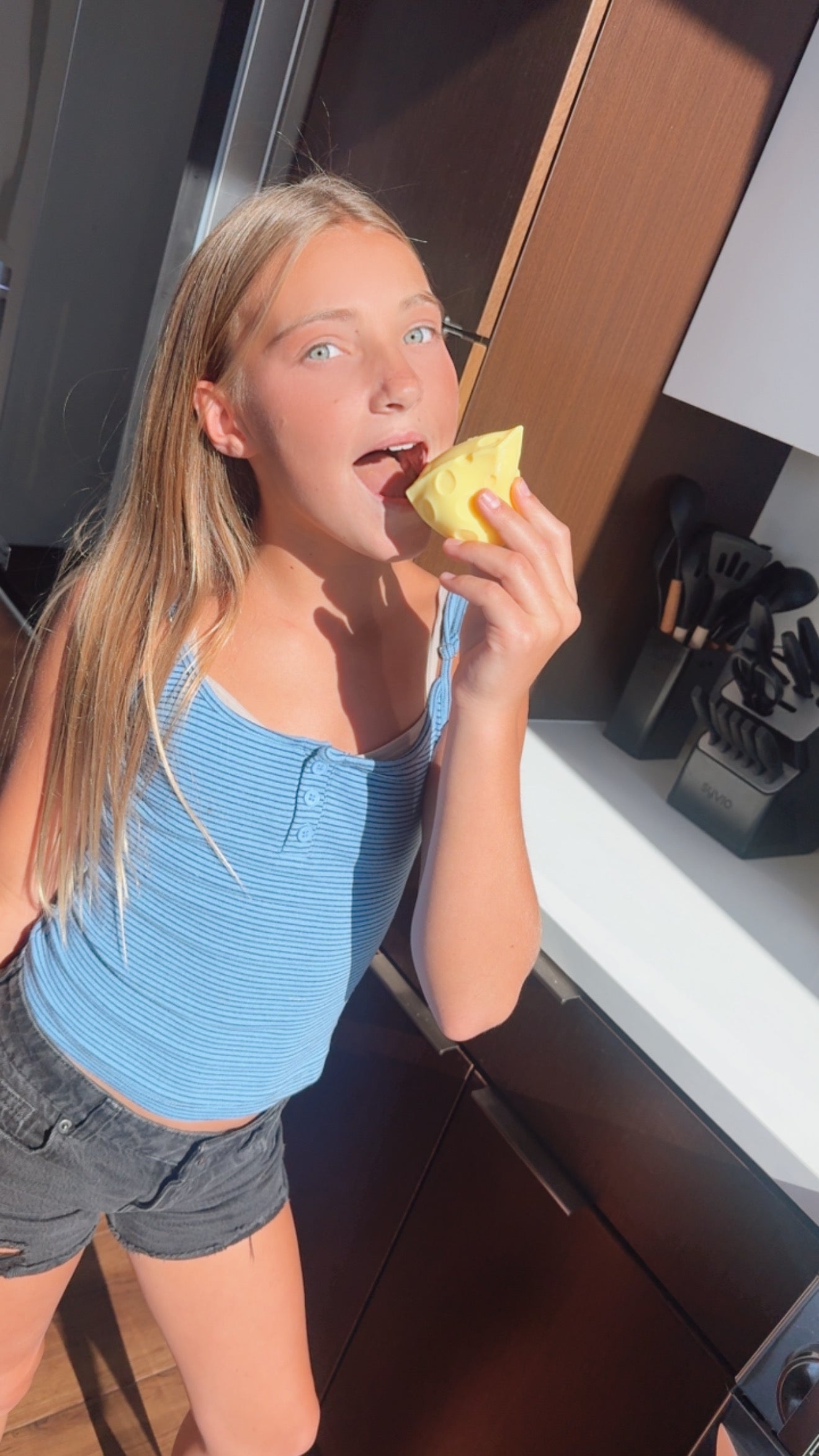 Cheese Triangle Squishy Toy