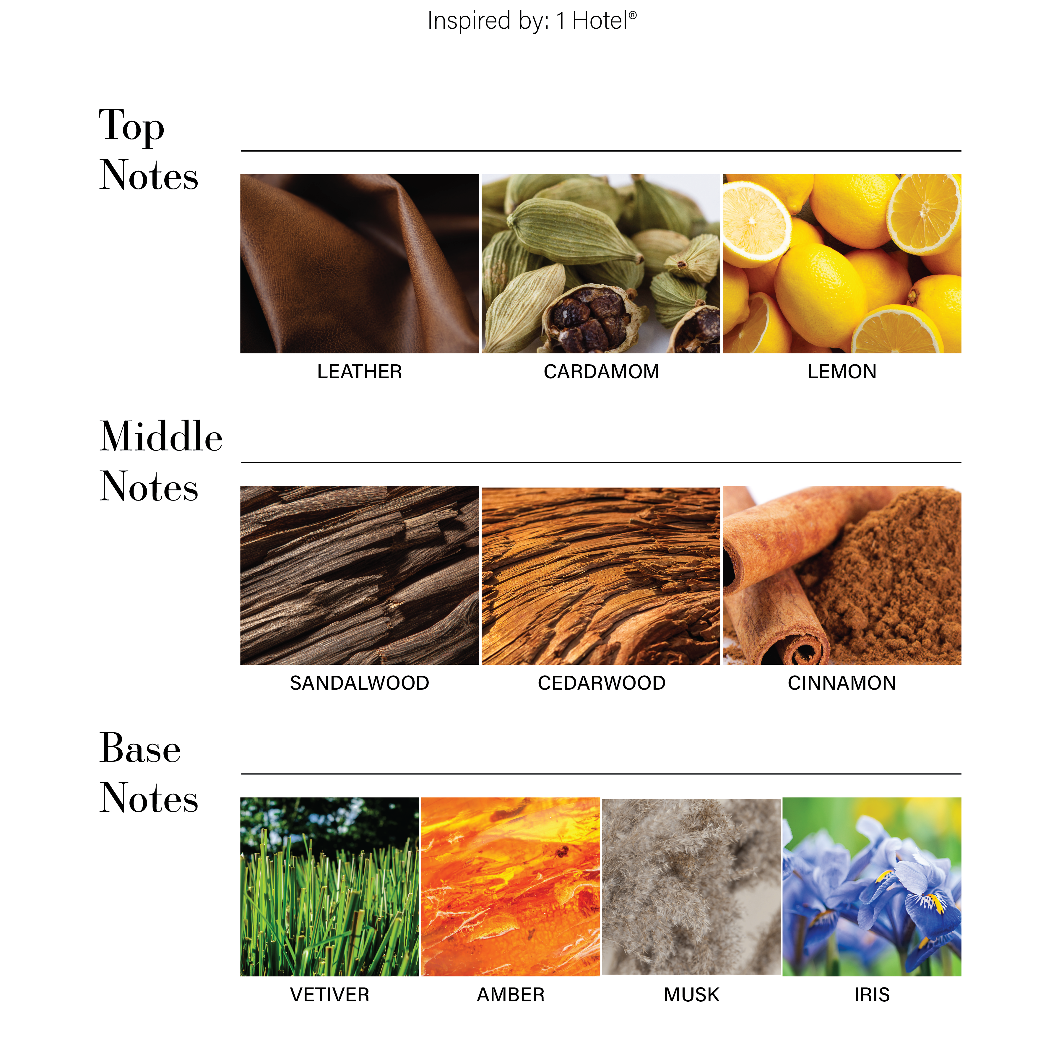 MYWAY_046d3990-4880-43f5-9a7d-99123473d661.png