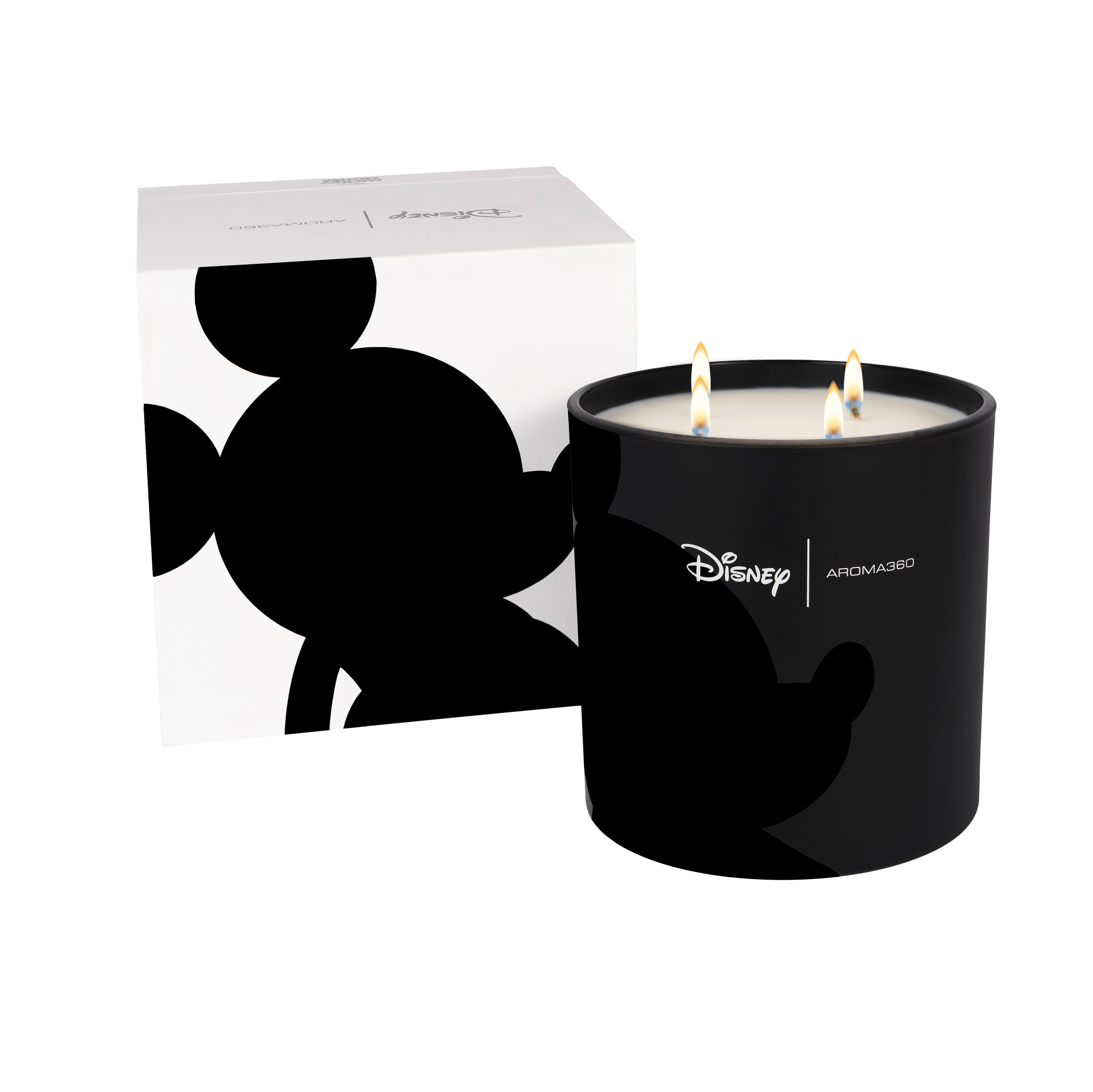Mickey4WickCandlde-4.png