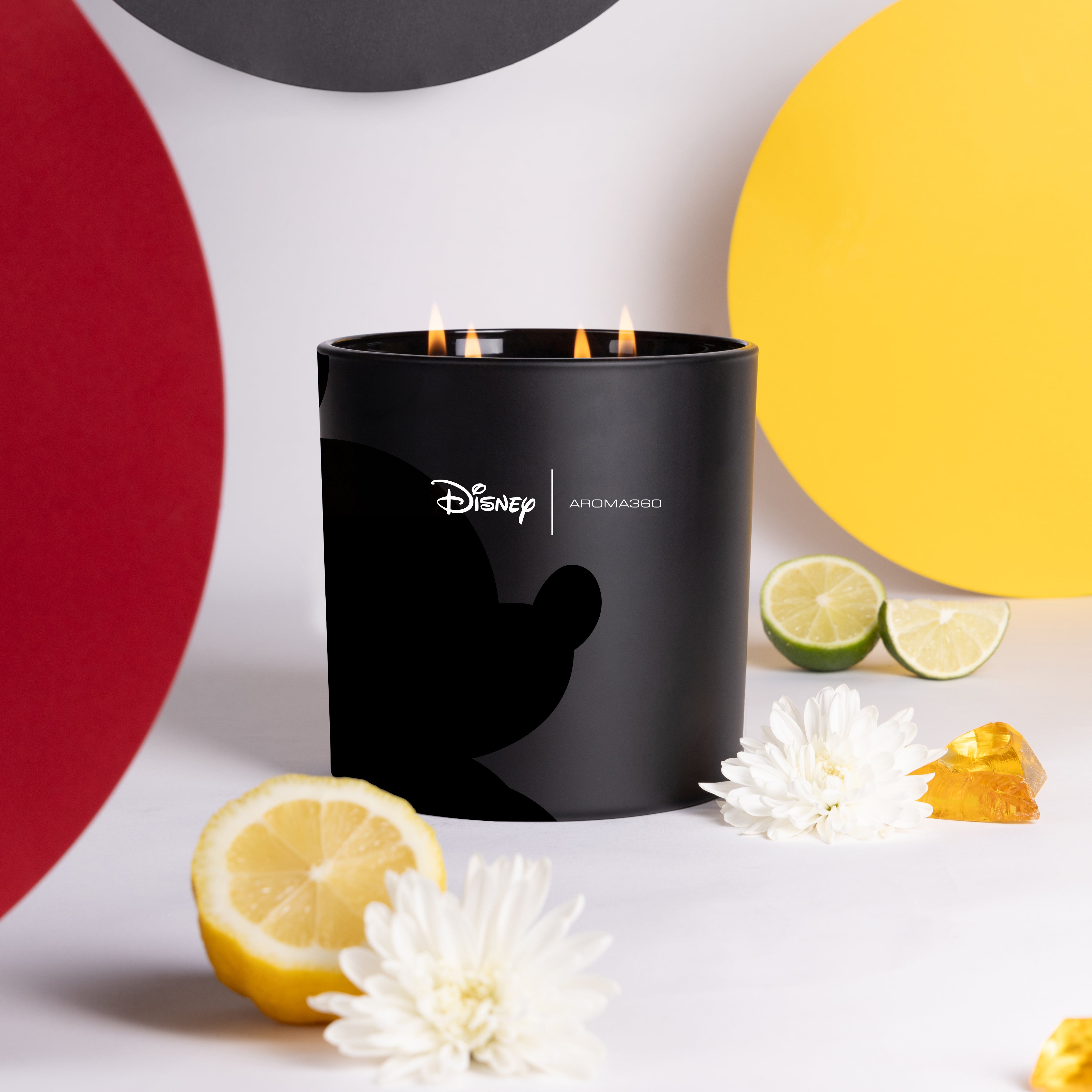 MickeyCandle_copy.jpg