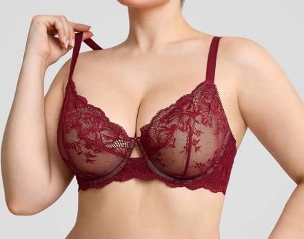 Sassy Red Floral Lace Underwire Bra