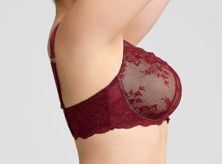 Sassy Red Floral Lace Underwire Bra