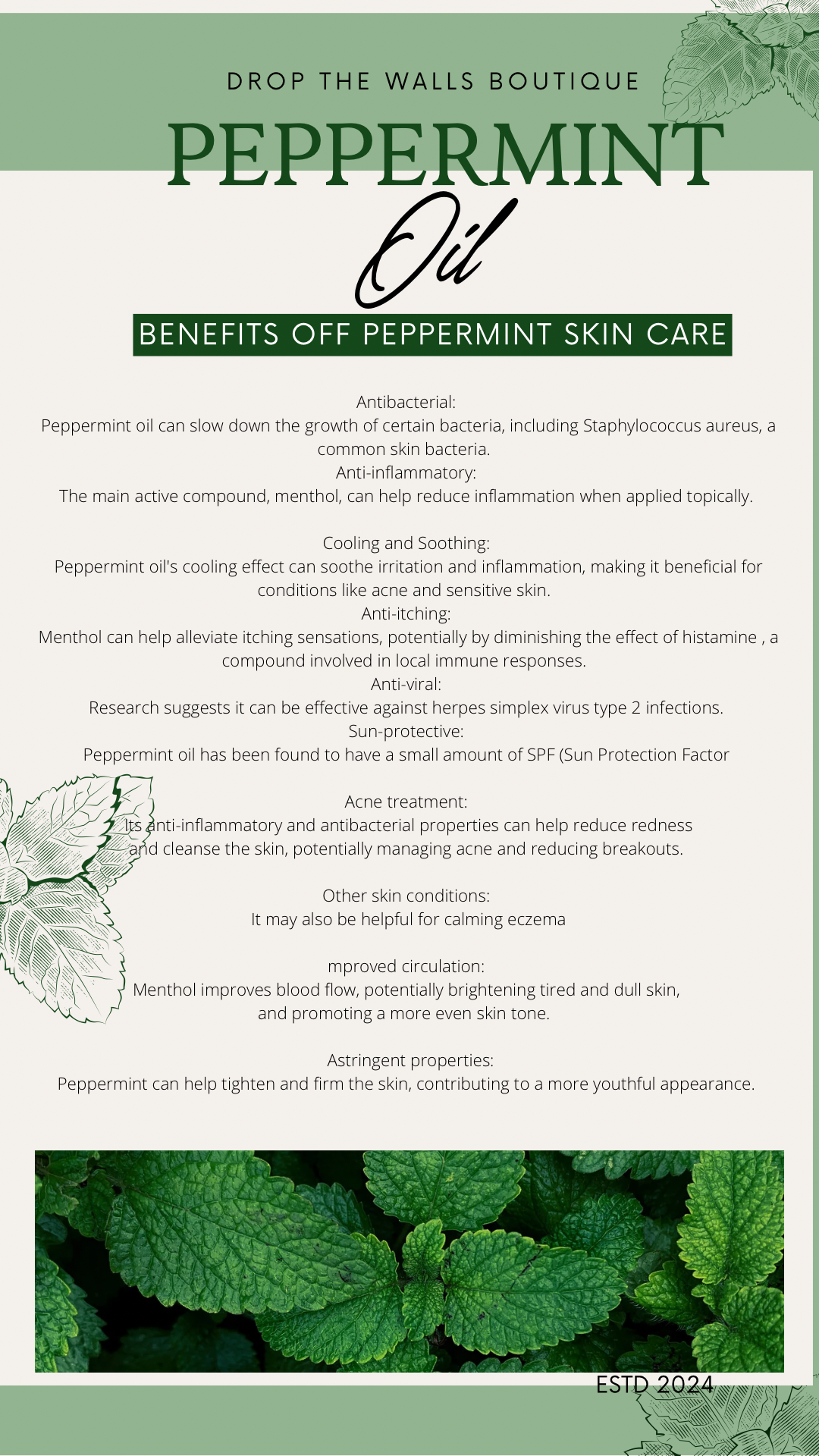 BELLA NEANE Drop the Walls Beef Tallow Castor Oil Firming by  Cream 4 ounce *Final Sale*