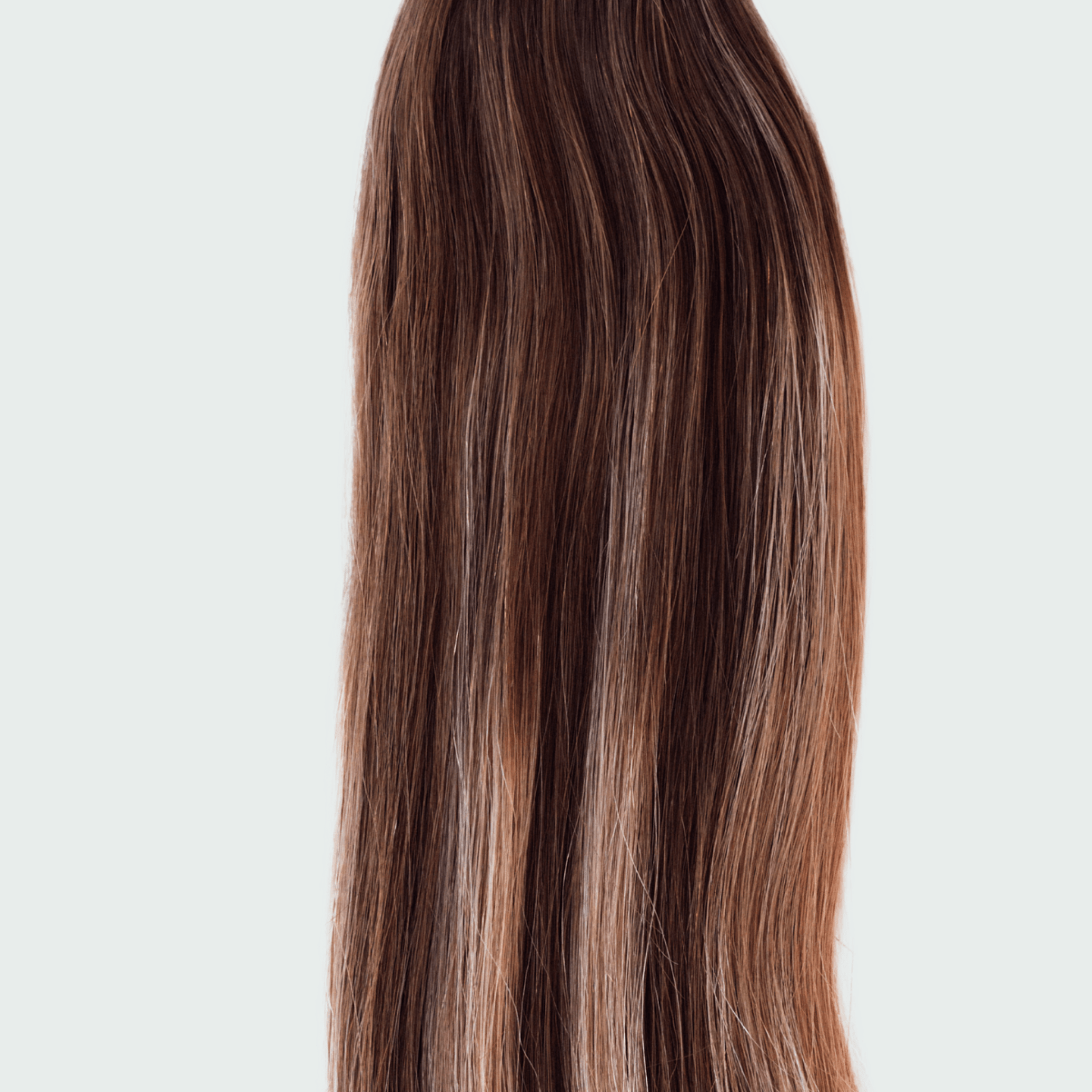 kktwin-2453151.png
