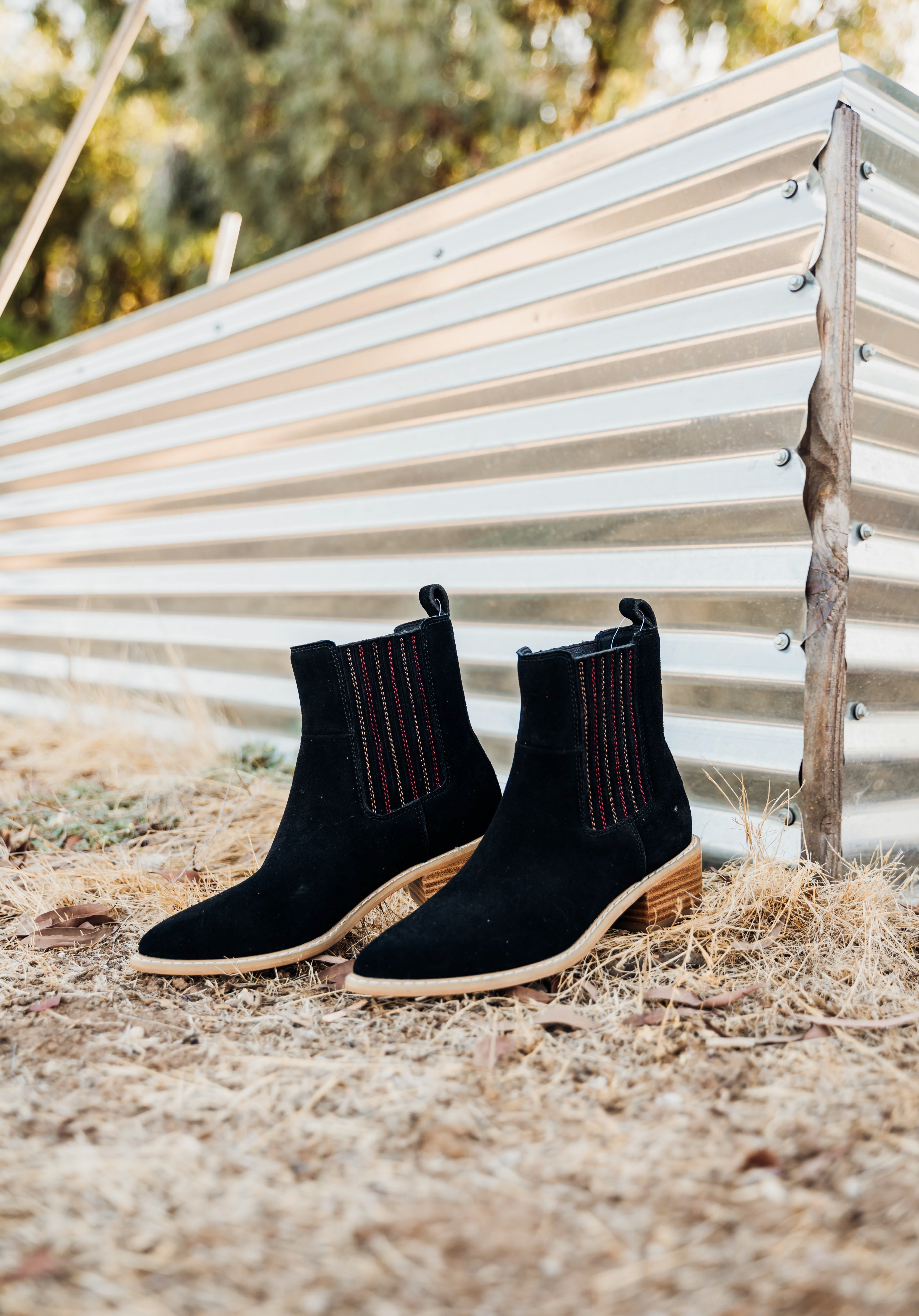 Leonor Suede Ankle Boot in Black